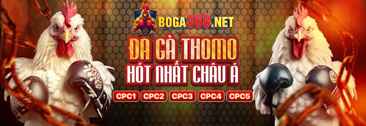 Tiền thưởng chào mừng ole77 win